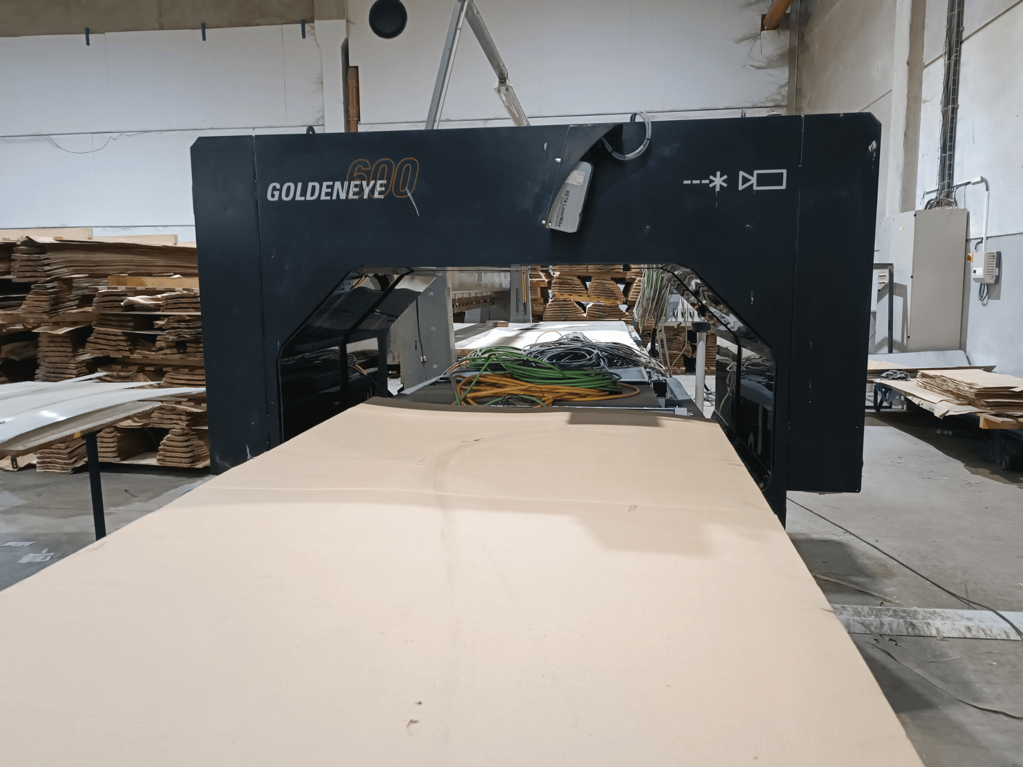 Microtec GOLDENEYE GLD 600 DSC kokapstrādes mašīna ar lielu griešanas virsmu un aprīkojumu darbnīcā.